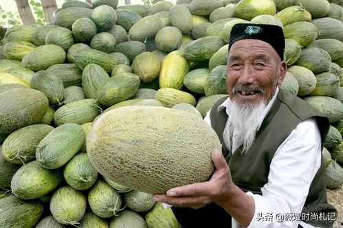 吃正宗的哈密瓜好吗视频,品尝新疆甜蜜诱惑