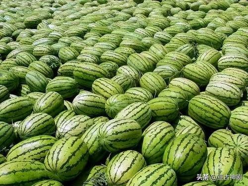 美得发紫吃瓜的视频,揭秘娱乐圈幕后故事
