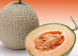 猫吃哈密瓜没事吗视频播放,揭秘宠物安全食用指南