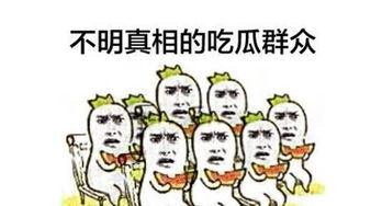 你们怎么看吃瓜群众视频,揭秘“吃瓜群众”视频背后的网络现象