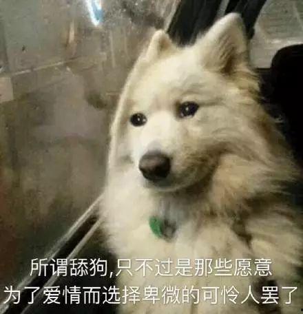 舔狗吃哈密瓜视频,哈密瓜背后的甜蜜逆袭故事