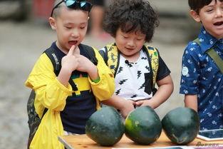 爸爸与萌娃吃瓜视频大全