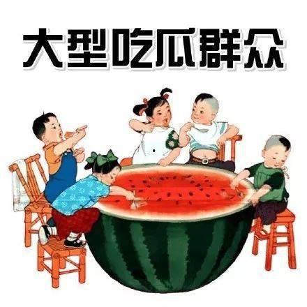 讨论吃瓜的视频素材,视频素材中的趣味观察