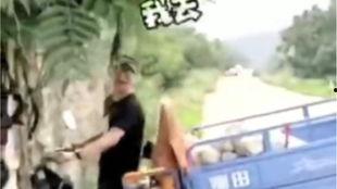 骑三轮车吃瓜视频,捕捉街头一幕