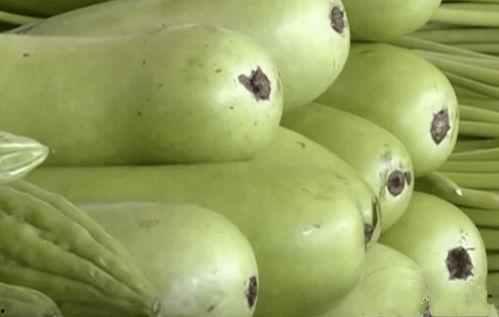 葫芦瓜敢吃吗有毒吗视频