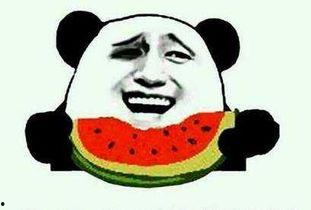 情侣吵架吃瓜别碰我视频