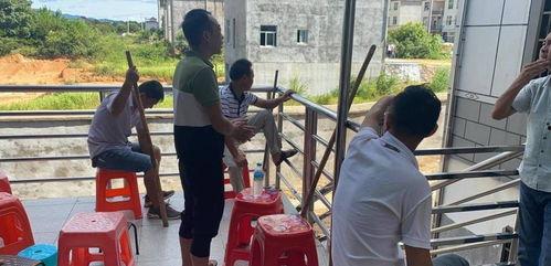 昭东市场吃瓜事件视频曝光,视频曝光揭示惊人真相