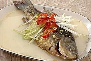 吃八瓜鱼视频大全解馋图片,视频大全带你解馋之旅