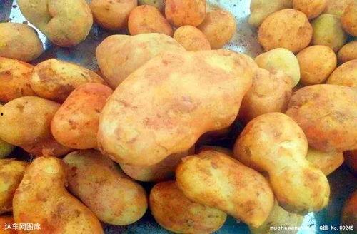 角瓜土豆咋吃最好呢视频,角瓜土豆的多样美味烹饪法揭秘