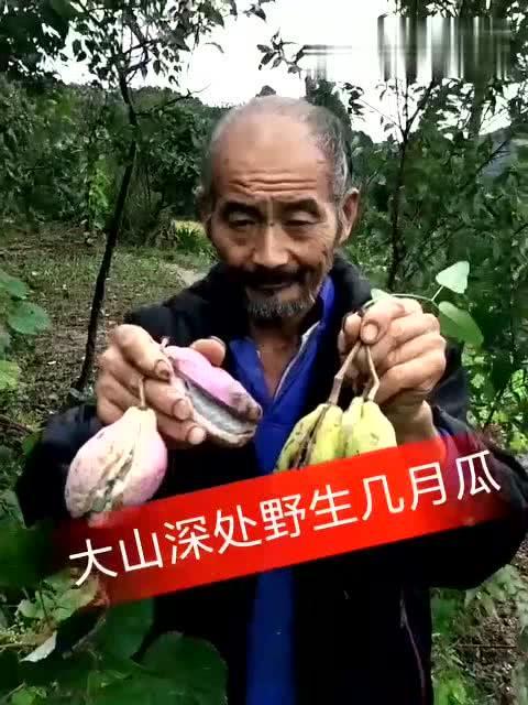 吃瓜野生大爷视频大全下载,揭秘吃瓜野生大爷视频大全下载背后的故事