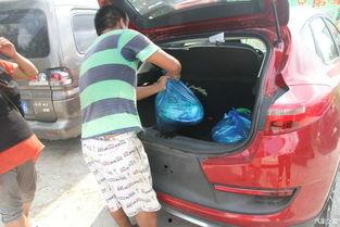 吃瓜群众提车视频,新车到手，揭秘提车瞬间！