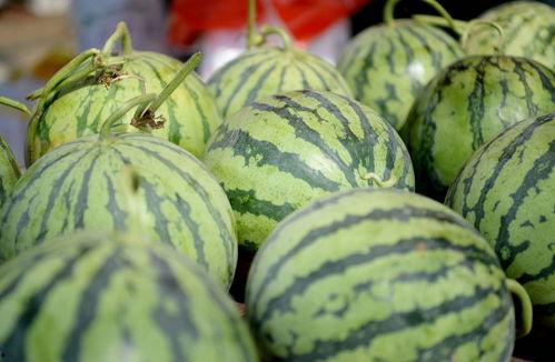 吃瓜视频壁纸高清,视觉盛宴，一睹为快