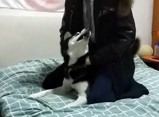 给吃瓜男友递袜子视频,网友直呼太暖心！