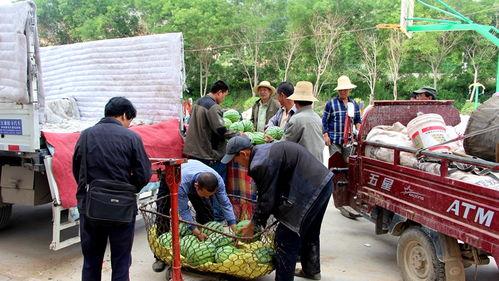 桑植县吃瓜群众事件视频,网络热议背后的真相揭秘