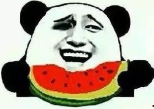 吃瓜群众都放假了吗视频,“吃瓜群众放假了吗？”揭秘假期中的网络热议现象