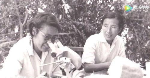 两个女神吃瓜视频,揭秘娱乐圈幕后风云