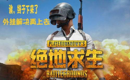 老王瓜吃鸡直播视频下载,精彩瞬间回顾与下载攻略