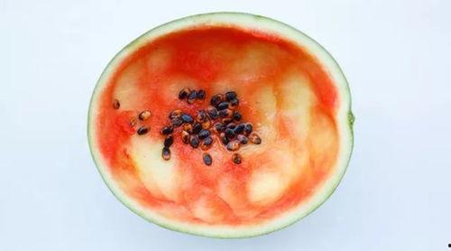 莽仔吃瓜吃到果原视频,揭秘果原视频幕后真相