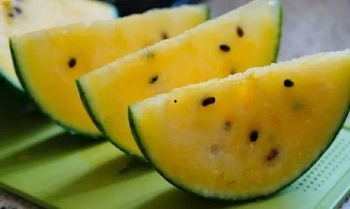 甘肃康县吃瓜视频,甘肃乡村的夏日美味时光