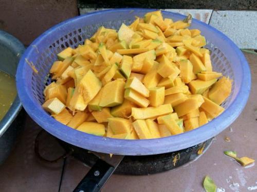 草鱼吃瓜视频,揭秘水族箱中的趣味瞬间