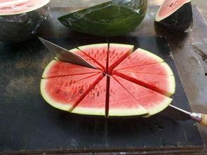 吃瓜的成精视频