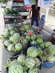 拉萨吃瓜事件视频大全