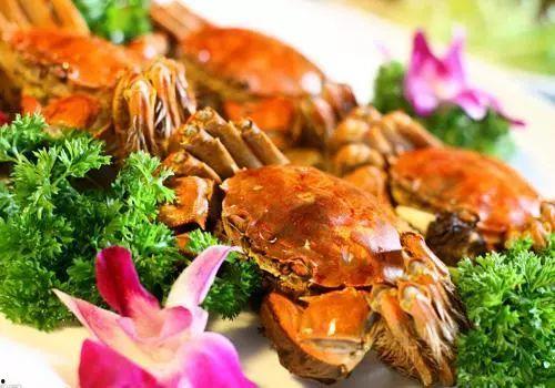 大瓜吃大螃蟹视频播放全集,视频全集精彩回顾