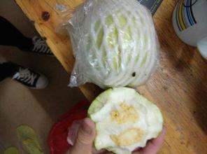 吃酥瓜要削皮吗视频讲解,视频讲解轻松掌握