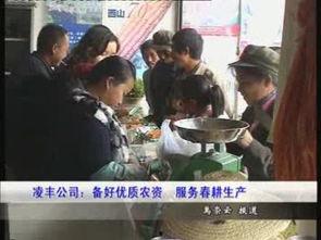 临沧吃瓜事件视频播放全集