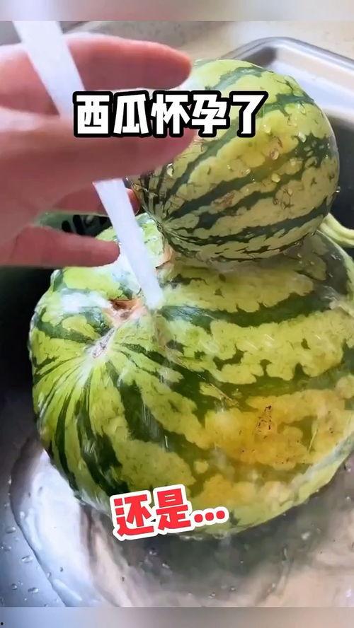 吃瓜搞笑配音视频,带你领略欢乐无限