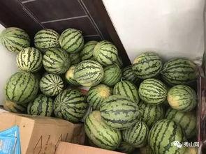 河南长垣县吃瓜视频,一场吃瓜视频引发的乡愁共鸣