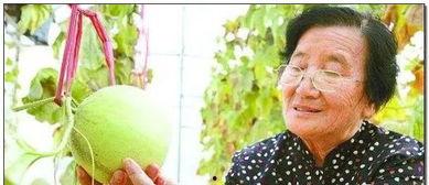 中国女人吃瓜视频,揭秘网络视频中的娱乐狂欢